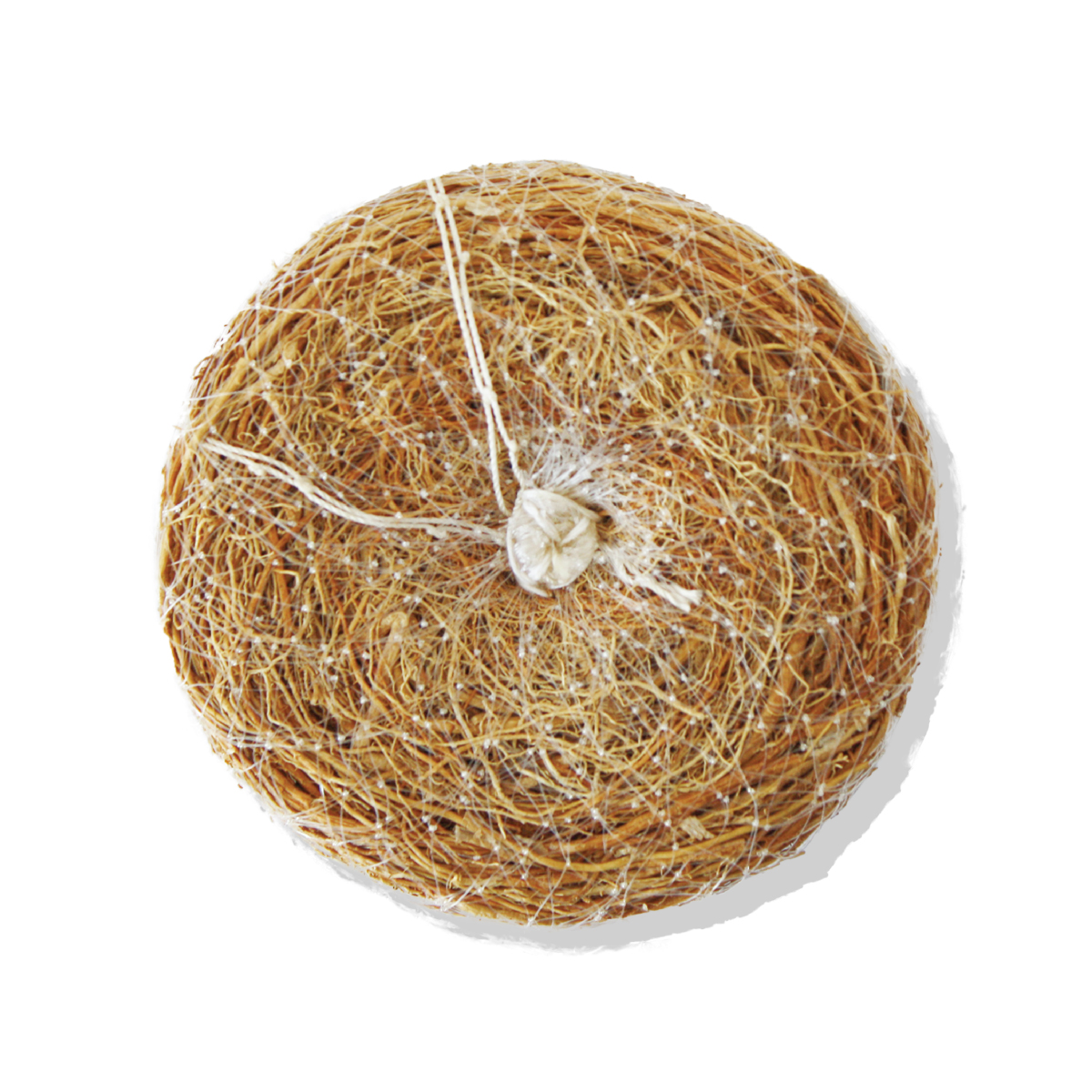 Exfoliating Sponge